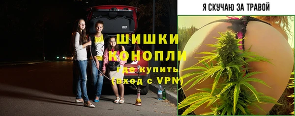 спайс Баксан