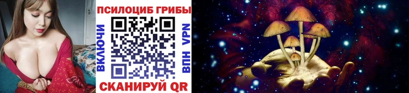 Галлюциногенные грибы Psilocybe  мега сайт  Соль-Илецк 