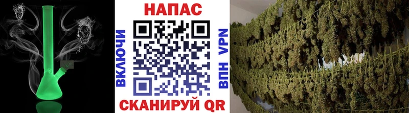 Каннабис ГИДРОПОН  Соль-Илецк 